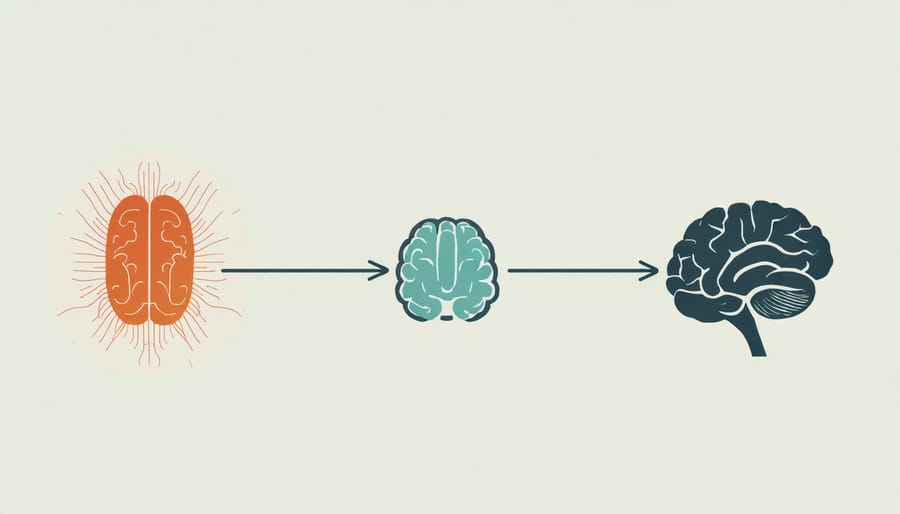 Diagram showing how stress hormones flow from the brain through the endocrine system