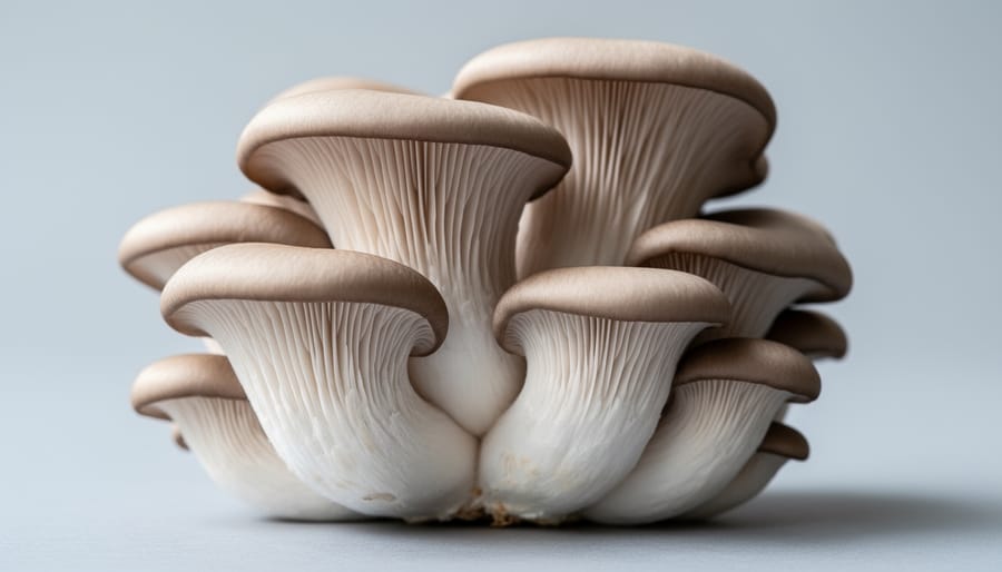 Fresh oyster mushrooms arranged on wooden cutting board showing their characteristic fan shape